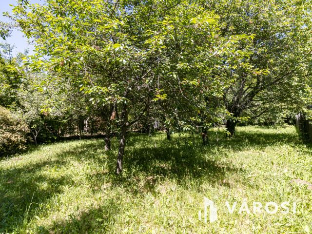 Építési telek Gödöllőn, kis faházzal