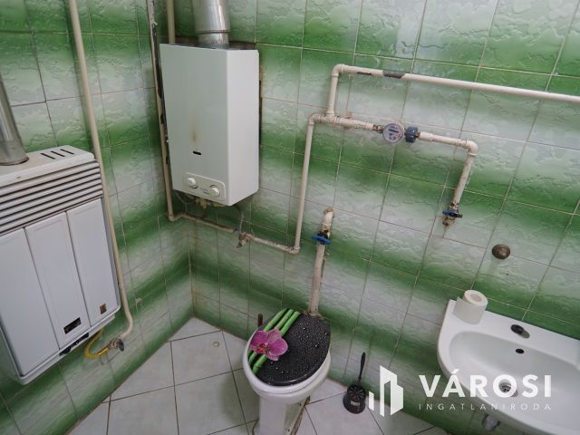 Platán soron, földszinti lakás