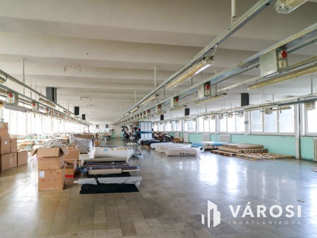 Eladó ipari létesítmény - sokoldalú lehetőségekkel