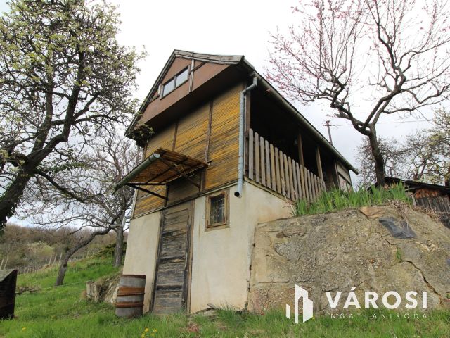 Borkedvelők kőszegi panorámás szőlőse, gyümölcsöse