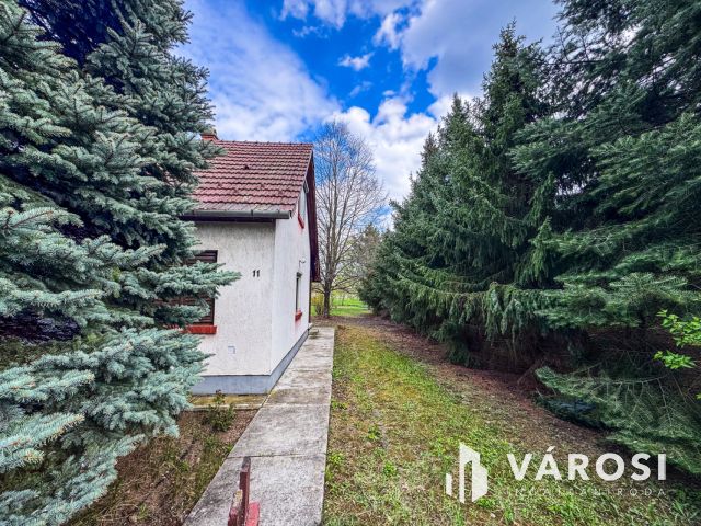 Két telek, egy nyaraló és sok-sok gyümölcsfa Szanazugban