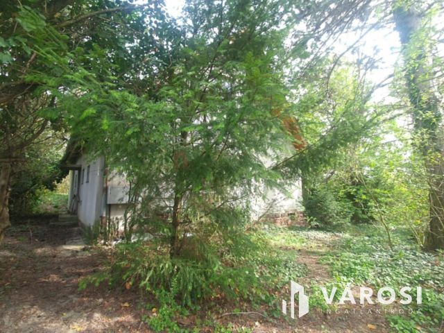 Balatonkenesén jó szerkezetű, felújításra szoruló ház eladó!