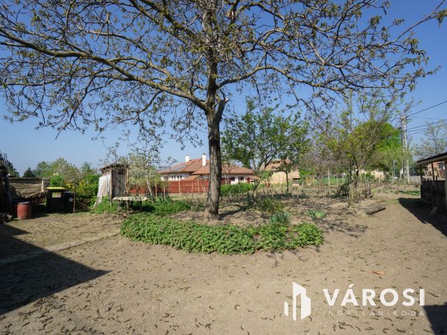 Saroktelken, kockaházból otthon