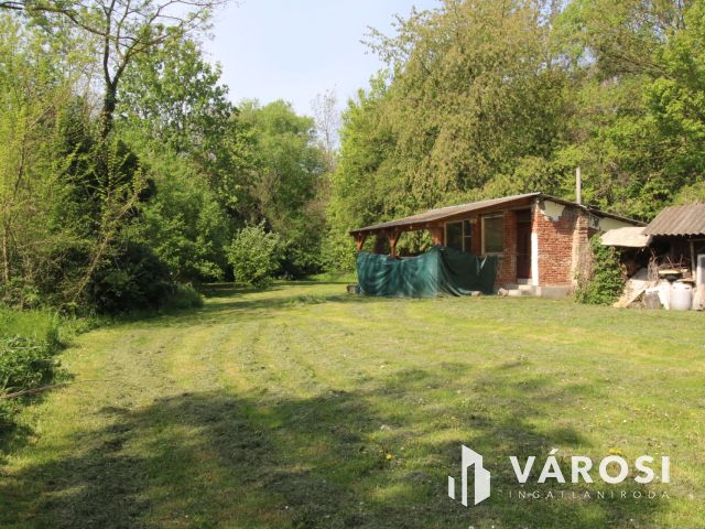 Csend, béke, madárfütty