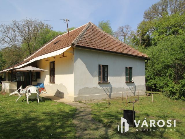 Csend, béke, madárfütty