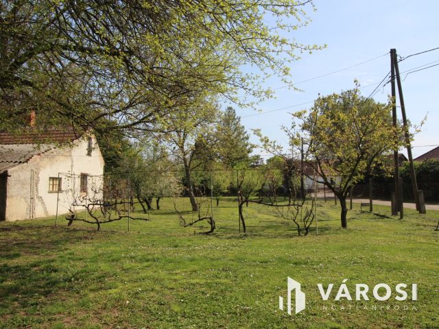 Csend, béke, madárfütty