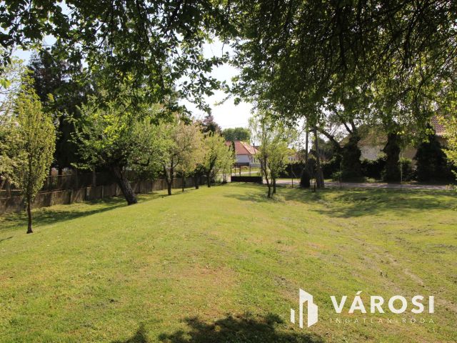 Csend, béke, madárfütty