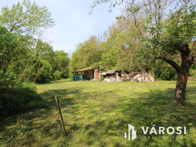 Csend, béke, madárfütty