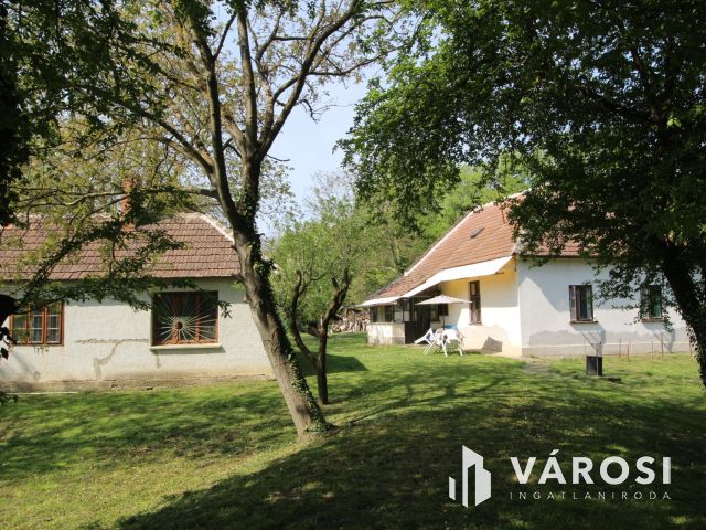 Csend, béke, madárfütty