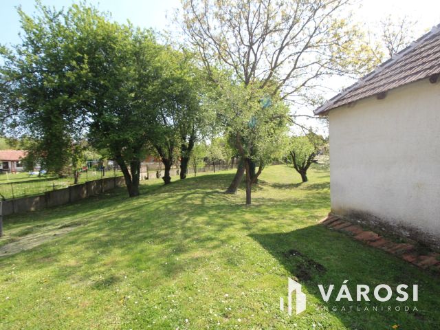 Csend, béke, madárfütty