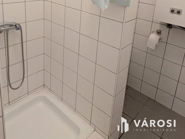 Belvárosi garzonlakás kertkapcsolattal