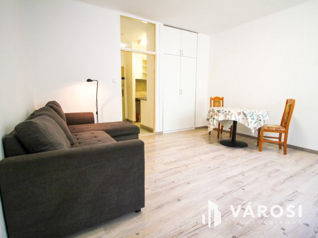 Parkra néző garzonlakás kiadó Óbudán