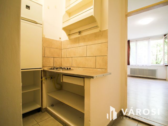 Parkra néző garzonlakás kiadó Óbudán