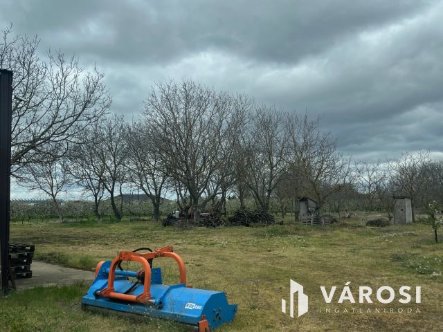 Vegyes gyümölcskert