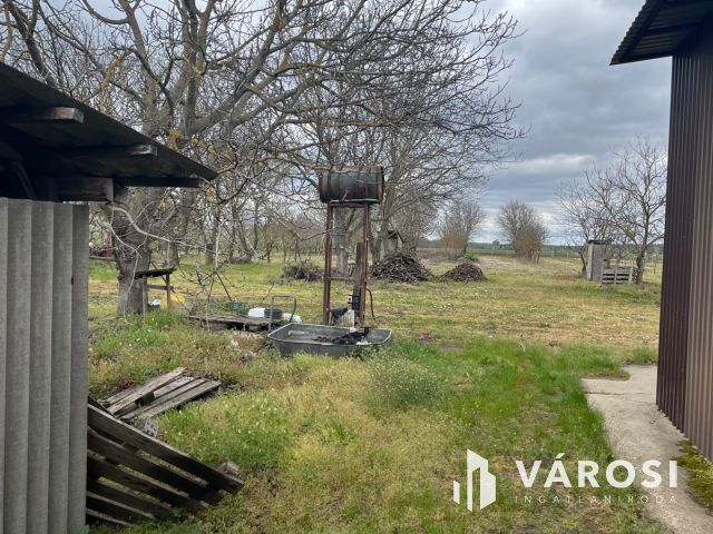 Vegyes gyümölcskert