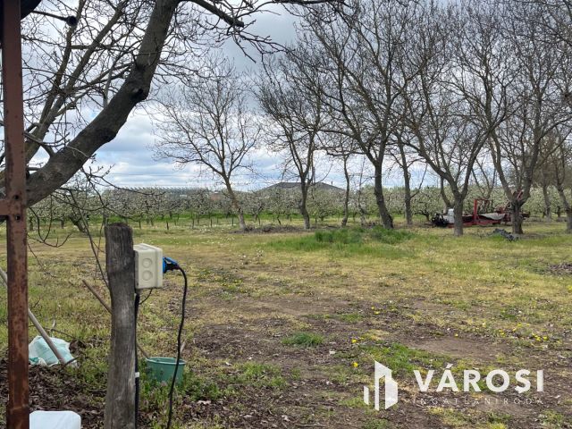 Vegyes gyümölcskert