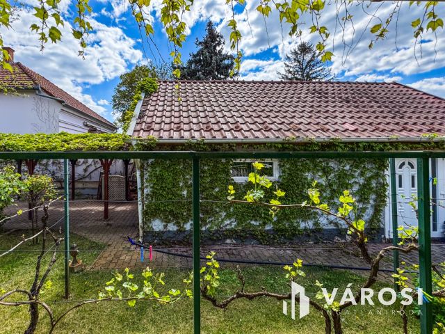 Napfényes belvárosi ház mindenhez közel