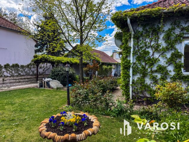 Napfényes belvárosi ház mindenhez közel