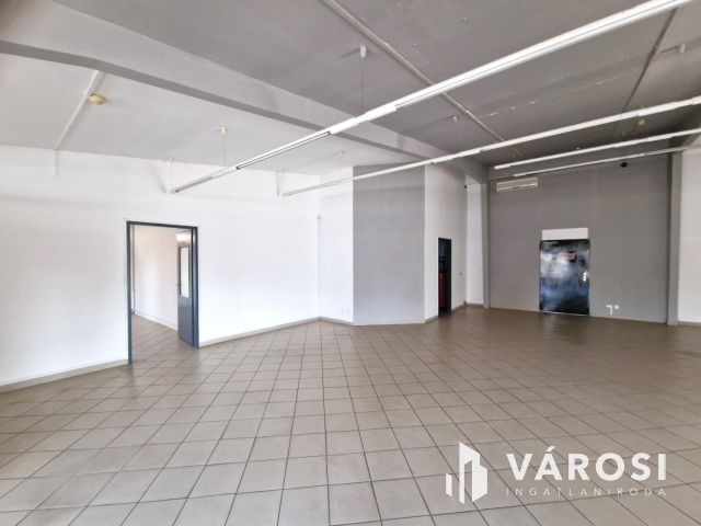 Kiadó ipari létesítmény Békéscsaba kereskedelmi övezetében