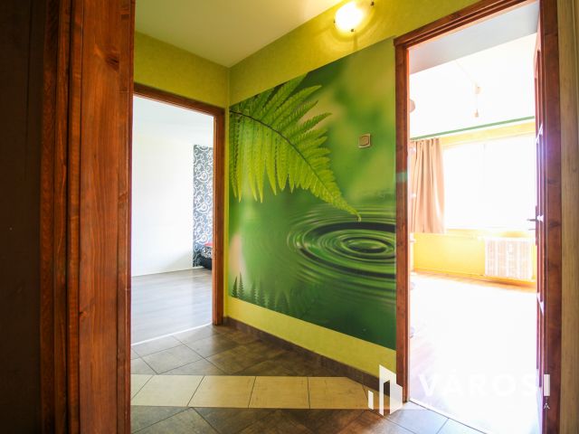 Három szobás panellakás kiadó Óbudán