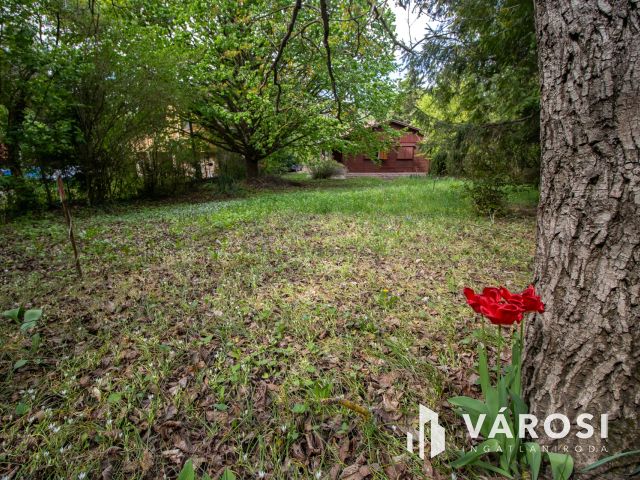 Elérhető harmónia Csobánkán