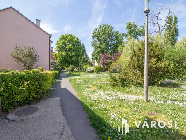 Első emeleti, erkélyes, világos lakás, zöldövezetben