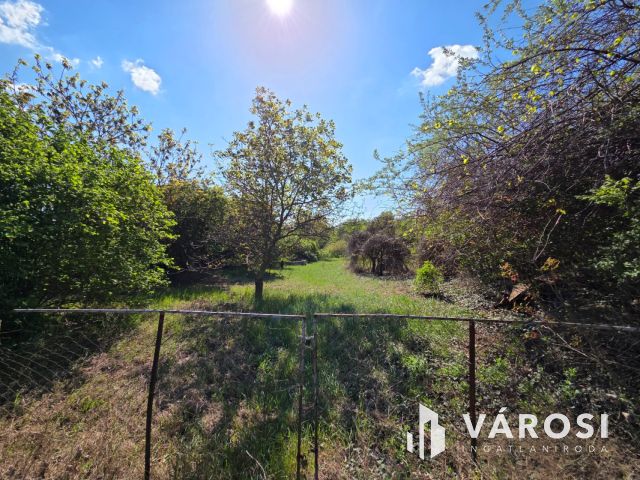 Eladó ipari ingatlan Szigetszentmiklóson