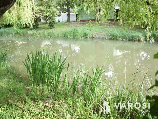 4 szobás családi ház az élővízcsatorna partján!