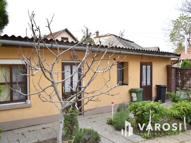 4 szobás családi ház az élővízcsatorna partján!