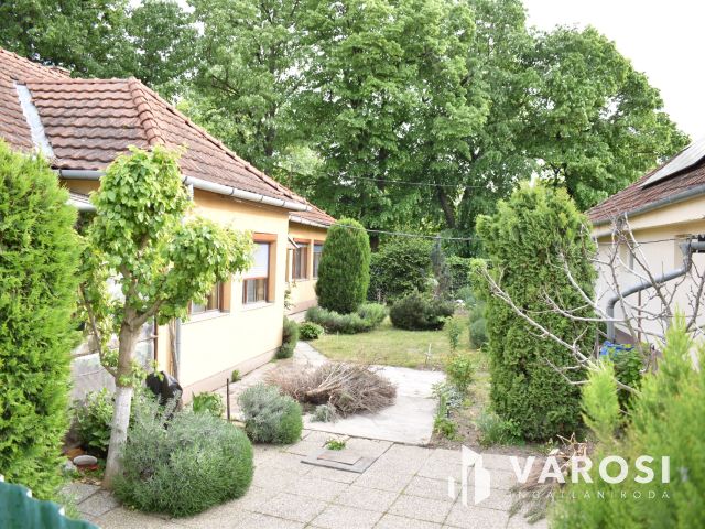 4 szobás családi ház az élővízcsatorna partján!