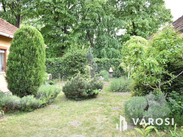 4 szobás családi ház az élővízcsatorna partján!