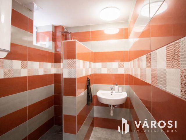 Modern családi otthon és kész üzemi bázis Nagyszénáson