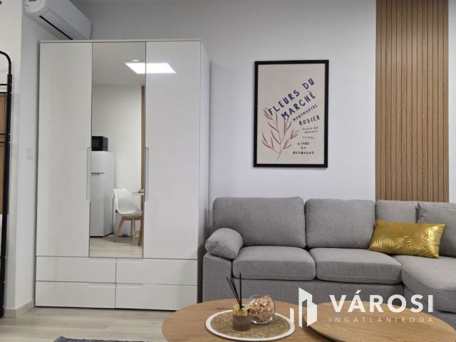 Vadonatúj prémium lakás kiadó Debrecen, Liget lakópark