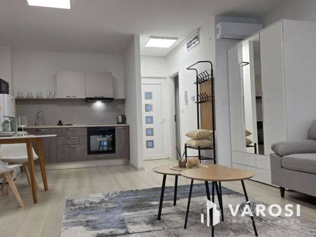 Vadonatúj prémium lakás kiadó Debrecen, Liget lakópark