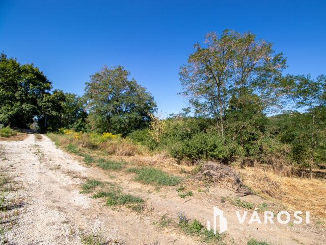Miskolctapolcánál, patakparton eladó 1500m² telek
