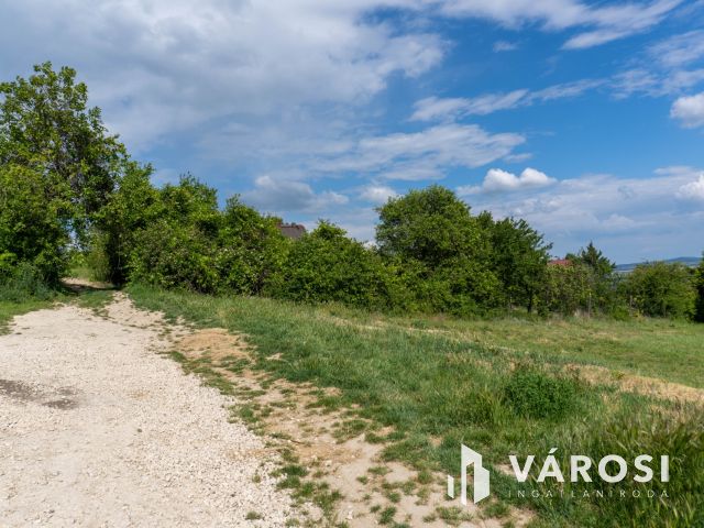 ZSÁMBÉKI PANORÁMÁS ZÁRTKERT