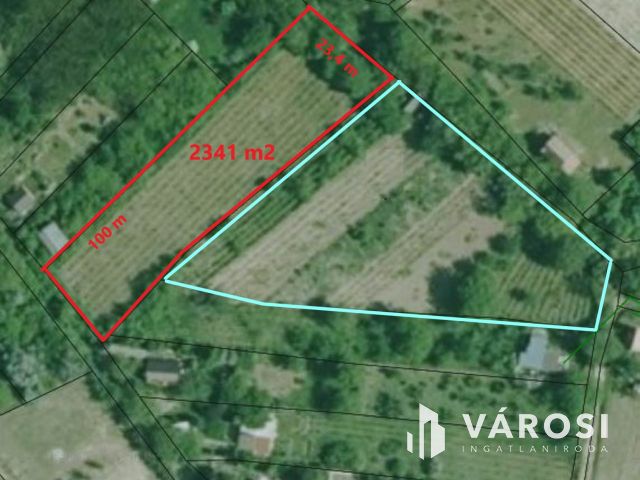 Panorámás szőlő Zsámbékon