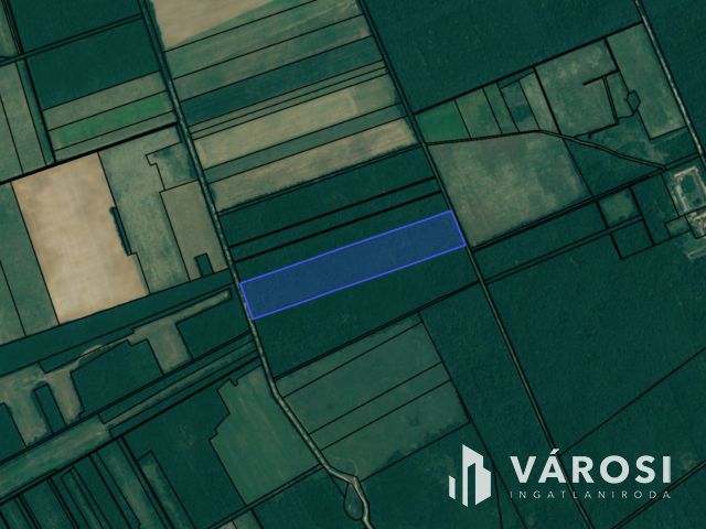 5,7 Ha erdő, Vas megyében