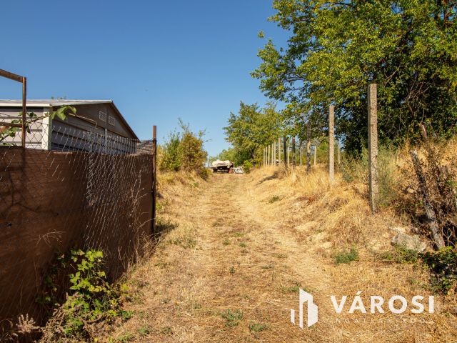 Ritka lehetőség Tinnyén – 831 m²-es telek