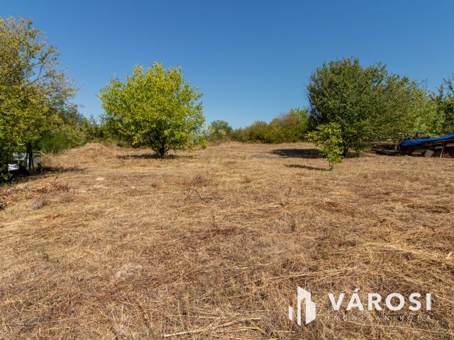 Ritka lehetőség Tinnyén – 831 m²-es telek