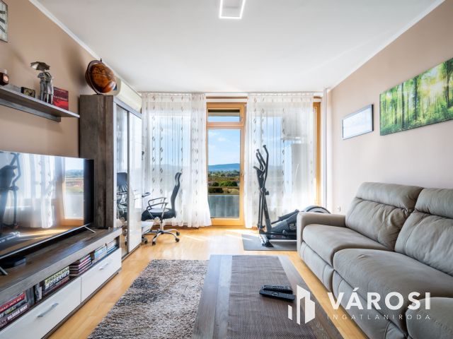 Örökpanorámás, nagy erkélyes, nappali + 2 hálós lakás