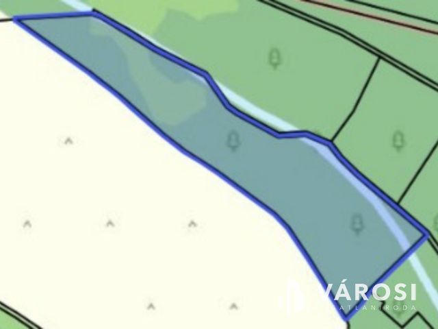 Erdő